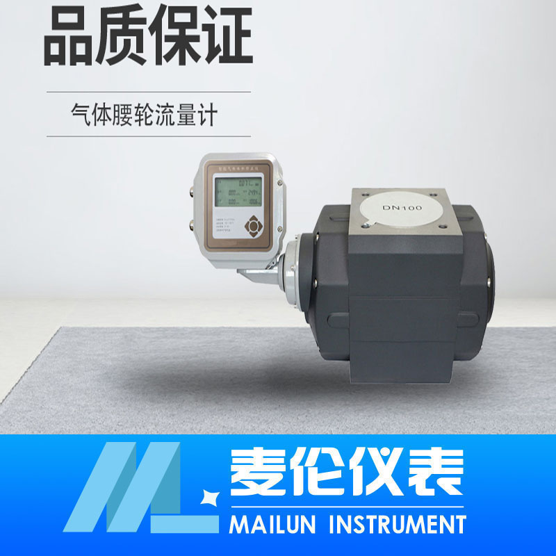 <b>氣體腰輪流量計</b>